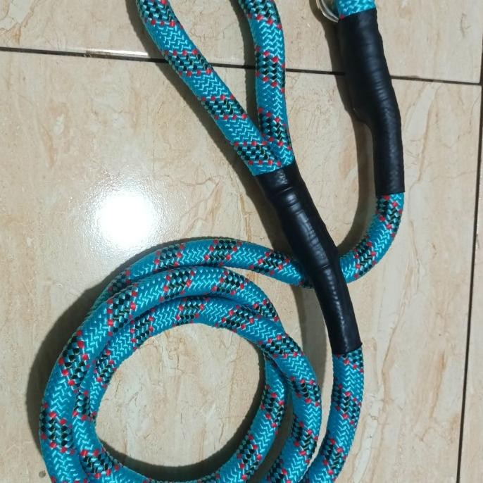 Baru tali tuntun ajing besar /anjing pemburu Pitbull DLL