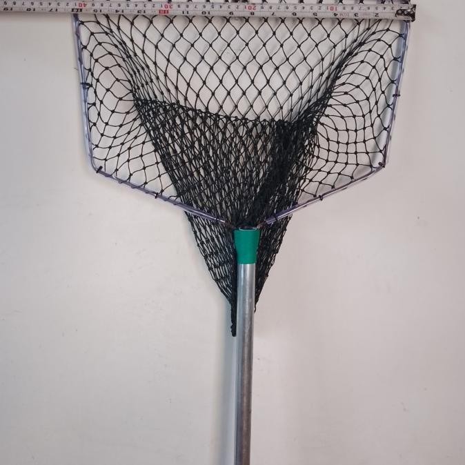 Serokan, Seser, Sair Ikan Besar 40Cm Co