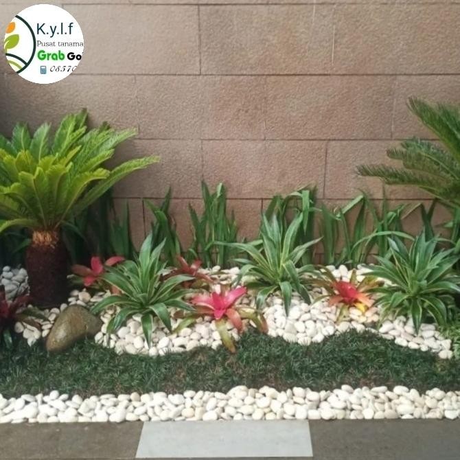 taman rumah / taman indoor /taman rumput Jepang / taman batu koral