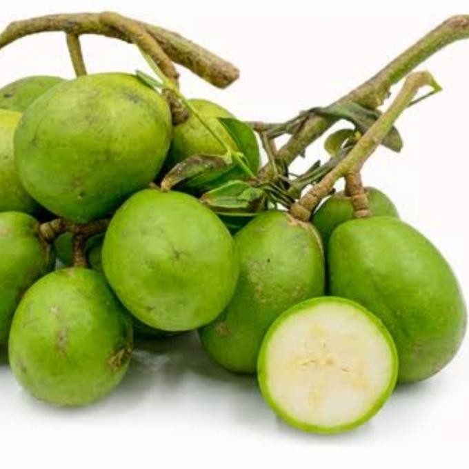 

Tanaman Buah - Pohon Kedondong Bangkok | Ambarella | Rujak Buah