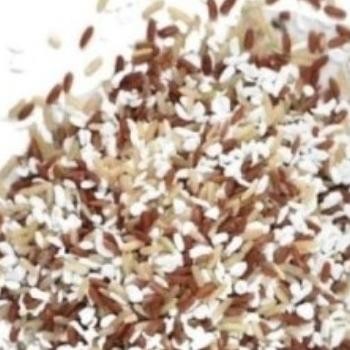 

tersedia beras shirataki sirataki rice mixed red porang merah 250 gram