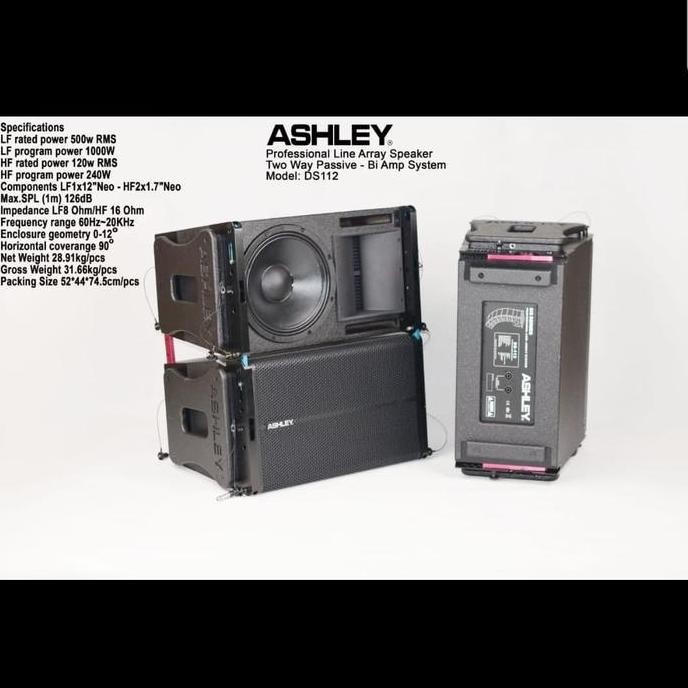 Terlaris Speaker Line Array Ashley Ds112/Ds 112 12In Two Way Passive
