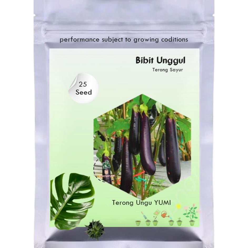 Bisa Cod Isi 25 Biji Biji Benih Terong Ungu Yumi F Benih Terong Favorit Petani Bibit Sayuran ,