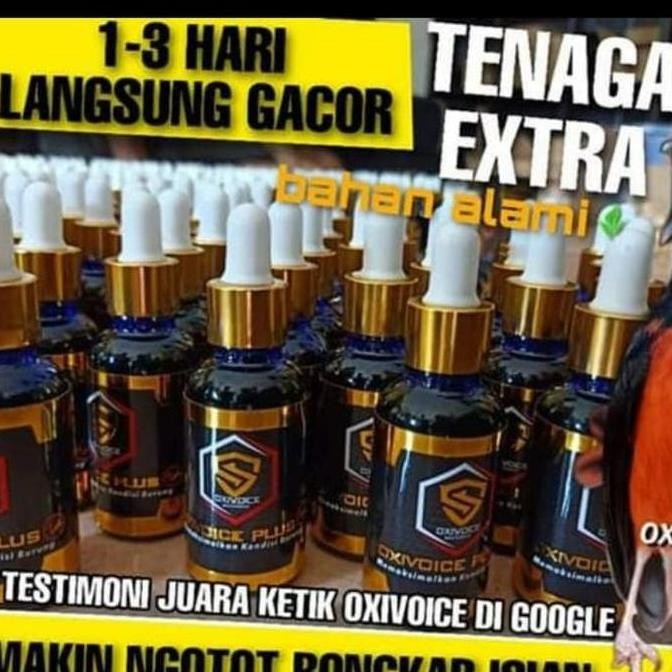 Oxivoice Plus Vitamin Burung Murai Batu dan burung kicau lainnya