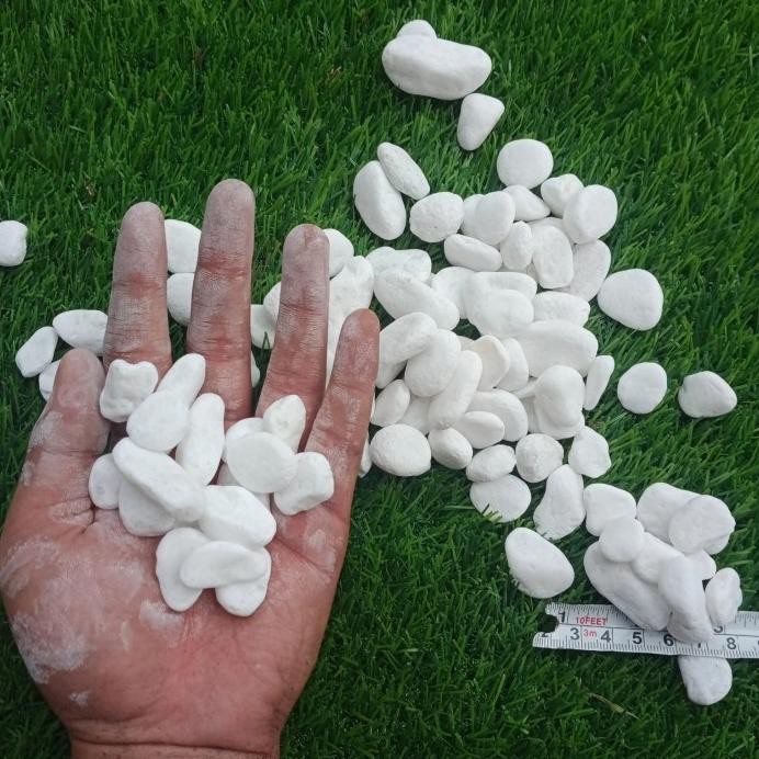 Batu koral putih italy import 10kg via cago murah