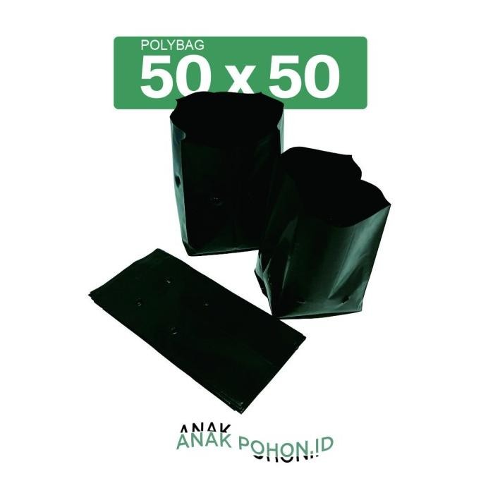Polybag Polibag Plastik Ukuran 50 x 50 cm murah
