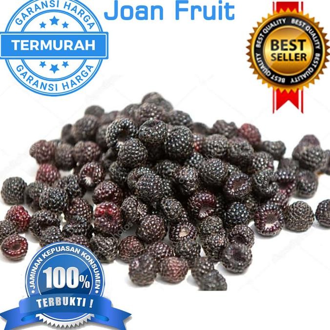 

Diskon! TERMURAH 1kg Buah Raspberry Frozen Rasp Berry Beku Black
