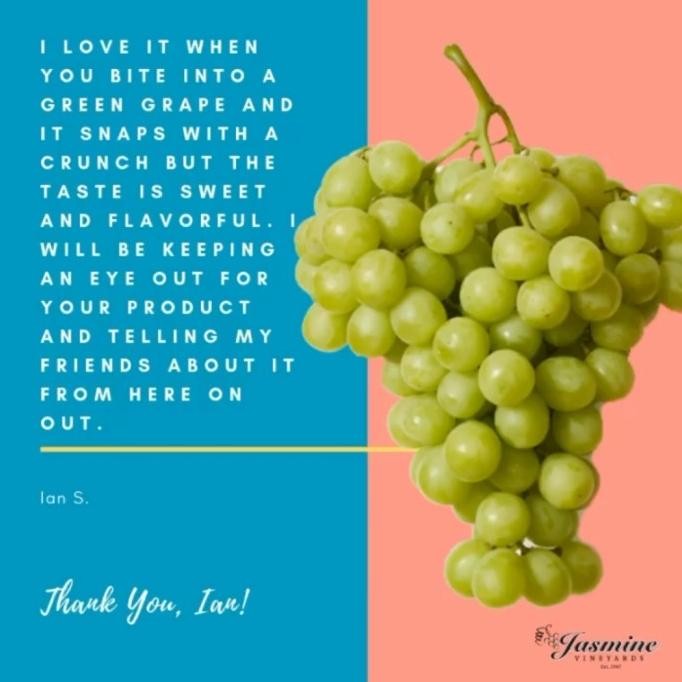 

Buah Anggur Hijau Sugar Crunch Manis Garing Tanpa Biji Emerald