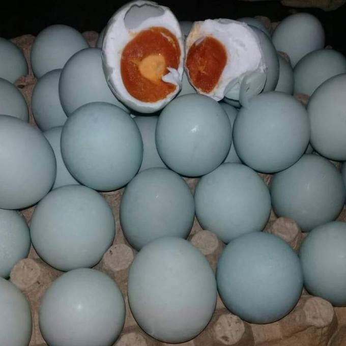 

Terlaris Telur Asin Sudah Matang Isi 10 Butir Masir Ukuran Sedang Asli Brebes Telor