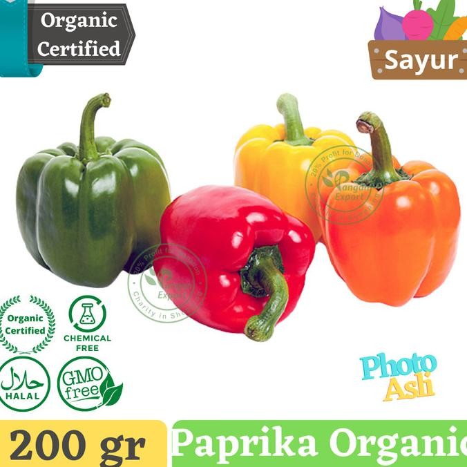 

Paprika Import / Buah Bumbu Sayur Masak Dapur by Pangan Export