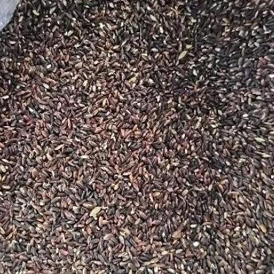 

Terlaris Tepung Ketan Hitam 100% Beras Ketan Hitam Murni Kemasan Vacuum