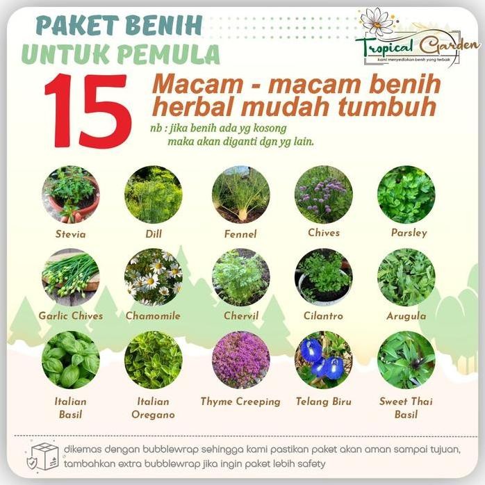 

Terlaris Paket 15 Macam Benih Tanaman Herbal Mudah Tumbuh Cocok Untuk Pemula Cod