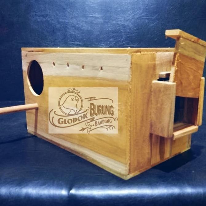 Glodok Parrot Pantau Kaca Burung Sun Conure Falk dll | Kartika Care Shop