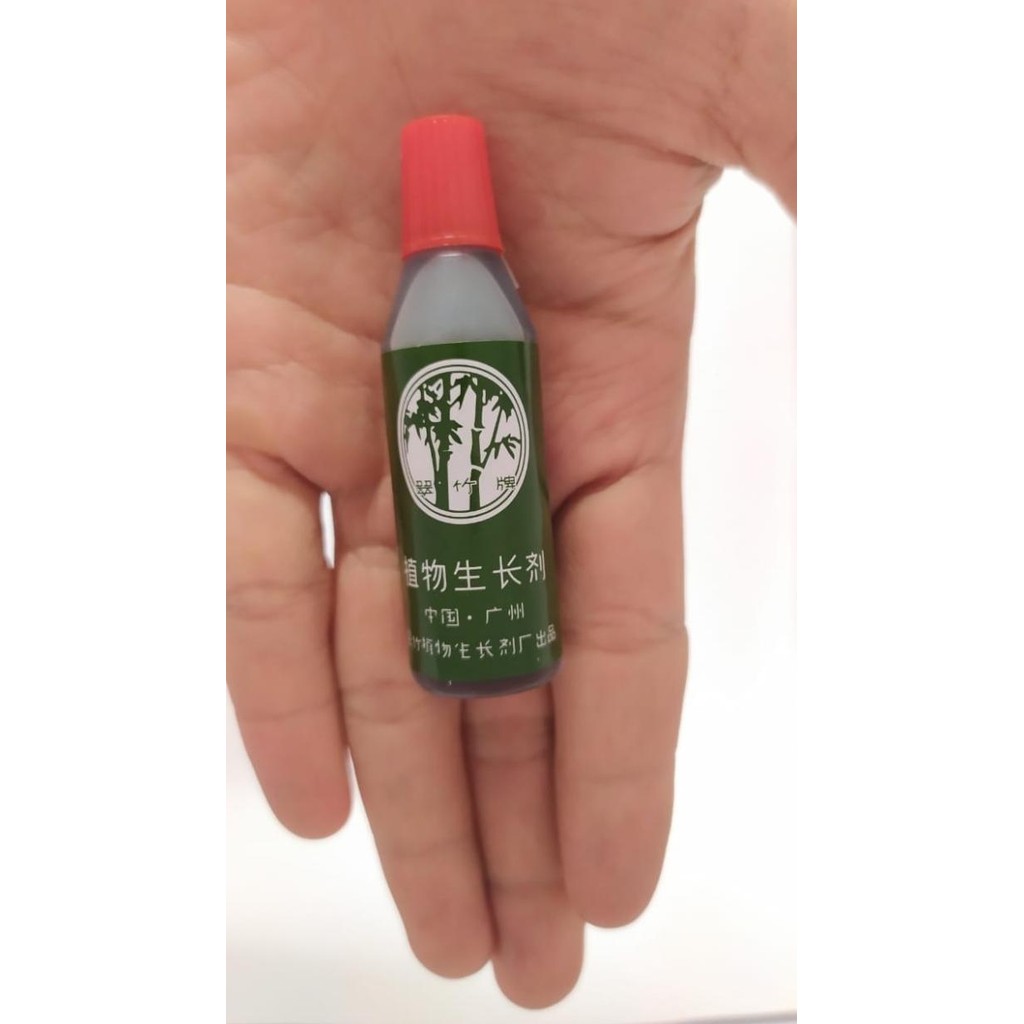 

Terlaris Bambu Ijo 12Ml Pupuk Organik Cair Poc Zpt 12 Ml Tanaman Hias Daun Buah