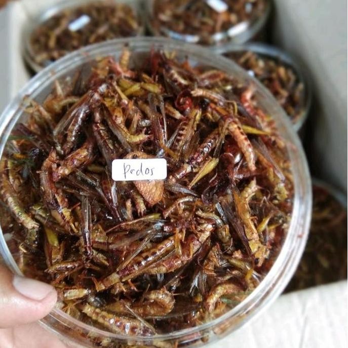 

Terlaris Walang Goreng, Belalang Goreng Utis/Padi Toples Nastar Berat -+120Gram Rendah Lemak Pedas Food