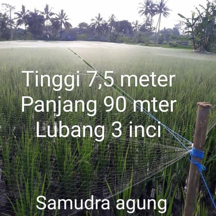 

Terlaris Jaring Burung Jaring Padi Jaring Sawah Lubang 3 Inci Bonus Tali
