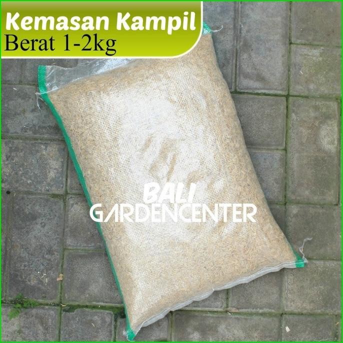 

Terlaris Media Tanam Sekam Padi Sekam Mentah - Kulit Padi