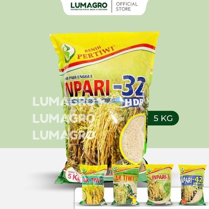 

Terlaris Benih Padi Pertiwi Inpari 32 5Kg Premium Bibit Pari Jumbo 5 Kilogram