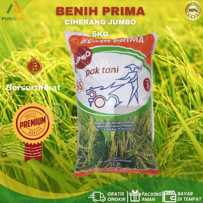 

Terlaris Benih Padi Ciherang Jumbo Pak Tani 5Kg Benih Prima Paktani Ss