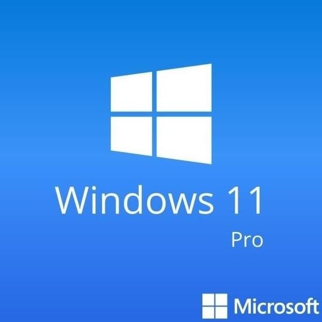 Windows 11 Pro / Windows 10 Pro COA Lisensi