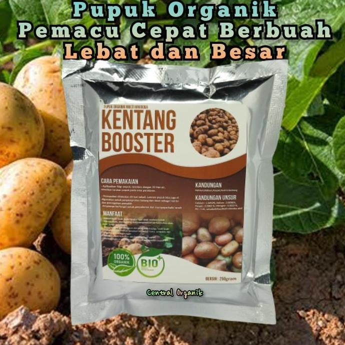 

Terlaris Pupuk Organik Umbi Kentang Pupuk Kentang Cepat Besar Dan Lebat