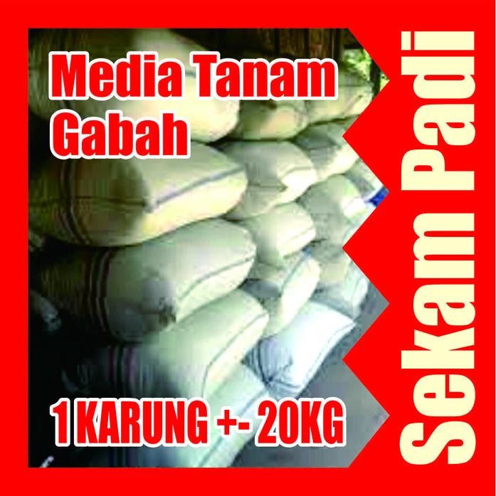 

Terlaris Sekam Padi 1 Karung 20 Kg Kulit Padi Gabah Media Tanam Organik