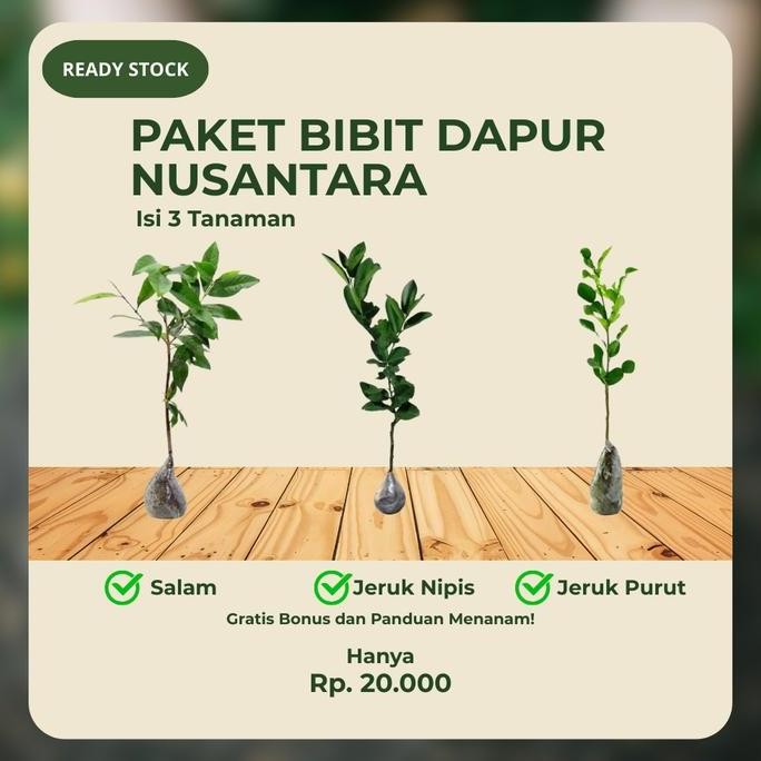 

Terlaris Paket Bundling! Paket Bibit Dapur Nusantara - Daun Salam, Jeruk Purut, Jeruk Nipis Unggul