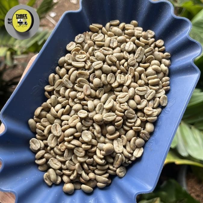 

ready stock Green Beans Java Preanger Fullwash Grade 1