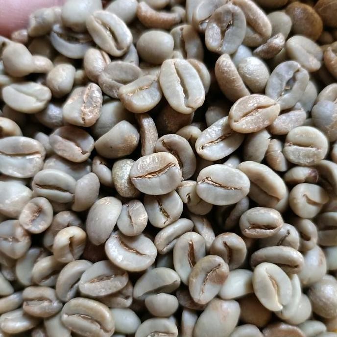 

ready stock Green Bean Arabika Gayo proses Honey G1