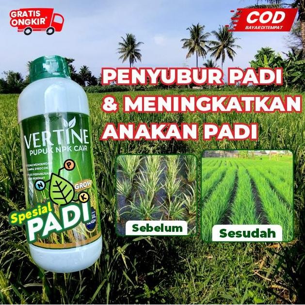 

Terlaris Pupuk Cair Penyubur Padi Vertine Grow