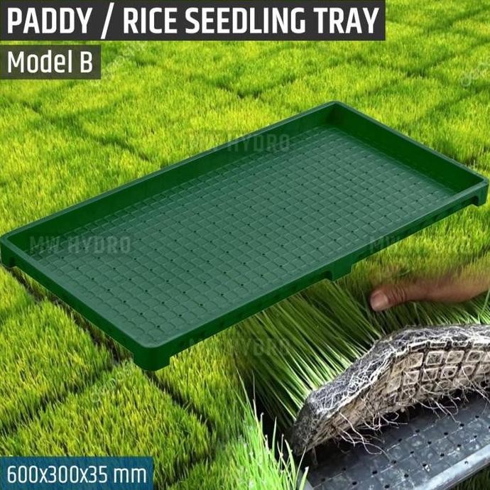 

Terlaris Paddy / Rice Seedling Tray, Tray Semai Bibit Padi / Microgreen - B