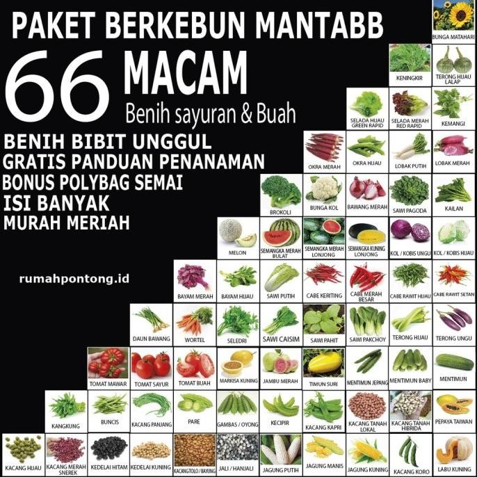 Paket 66 jenis benih biji sayur buah bunga terlengkap terbanyak bibit PREMIUM
