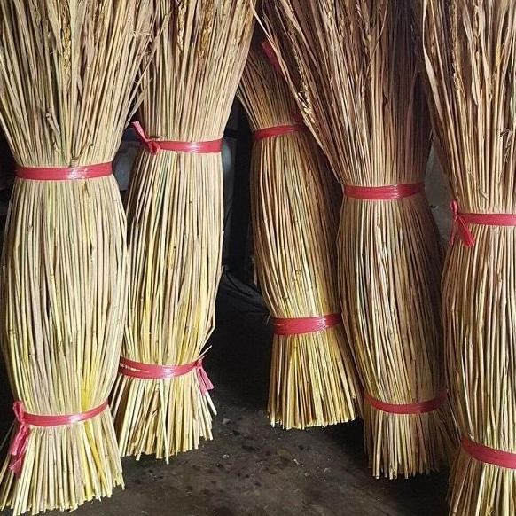 

Terlaris Jerami Padi Kering 1Kg Dekorasi Dan Sarang Ternak