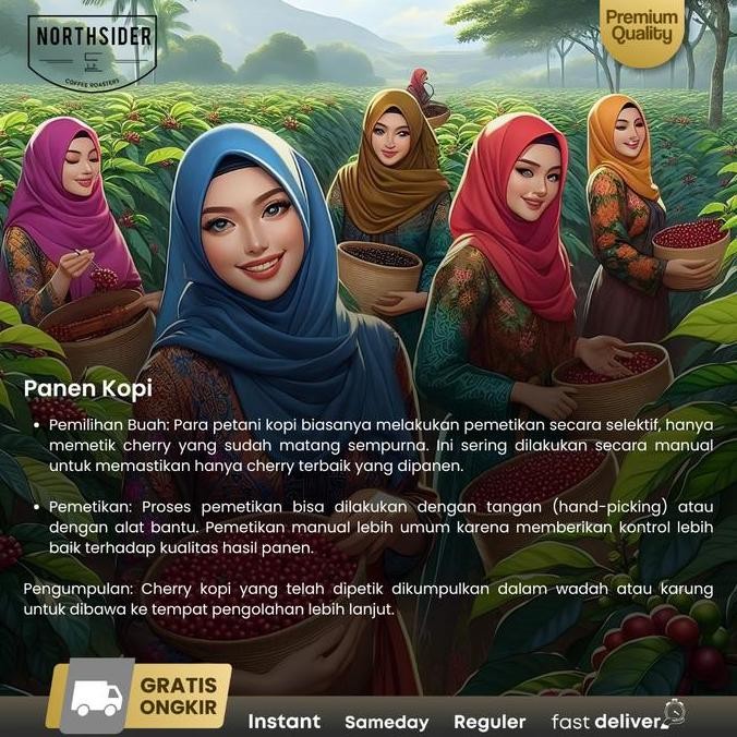 

ready stock Northsider Kopi arabika Sunda Hejo fully-washed coffee