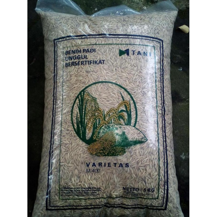 

Terlaris Benih Padi M400