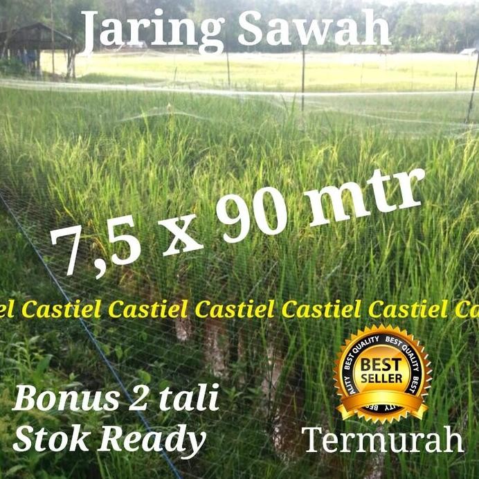 

Terlaris Termurah Jaring Padi Senar / Jaring Burung Pipit Dan Emprit / Jaring Penutup Sawah