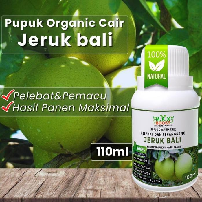 

Terlaris Pupuk Organik Cair Jeruk Bali, Poc Maxboost Jeruk Bali, Booster Cair Jeruk Bali Melebatkan Secara Maksimal 100Ml Pemacu Pelebat Hormon Organik