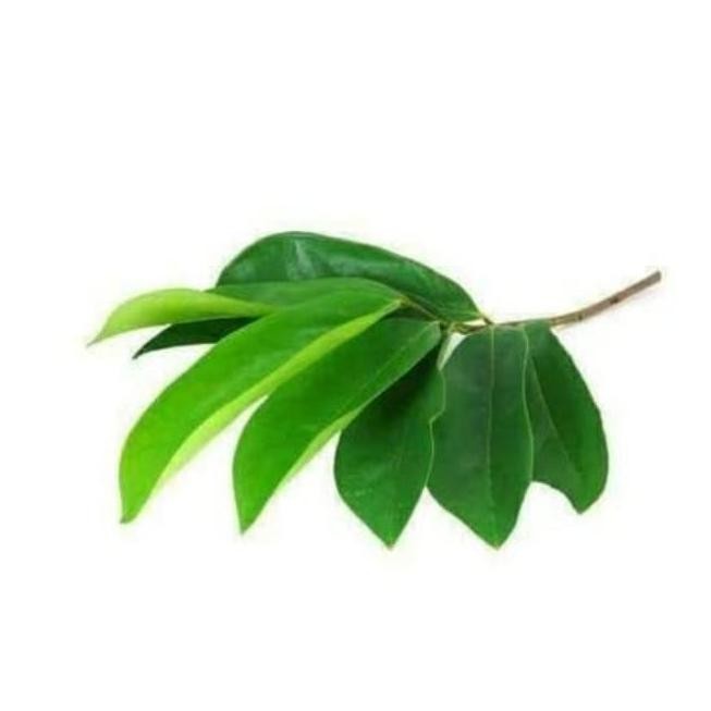 

Terlaris Daun Sirsak Segar // Tanaman Herbal, 250Grm.
