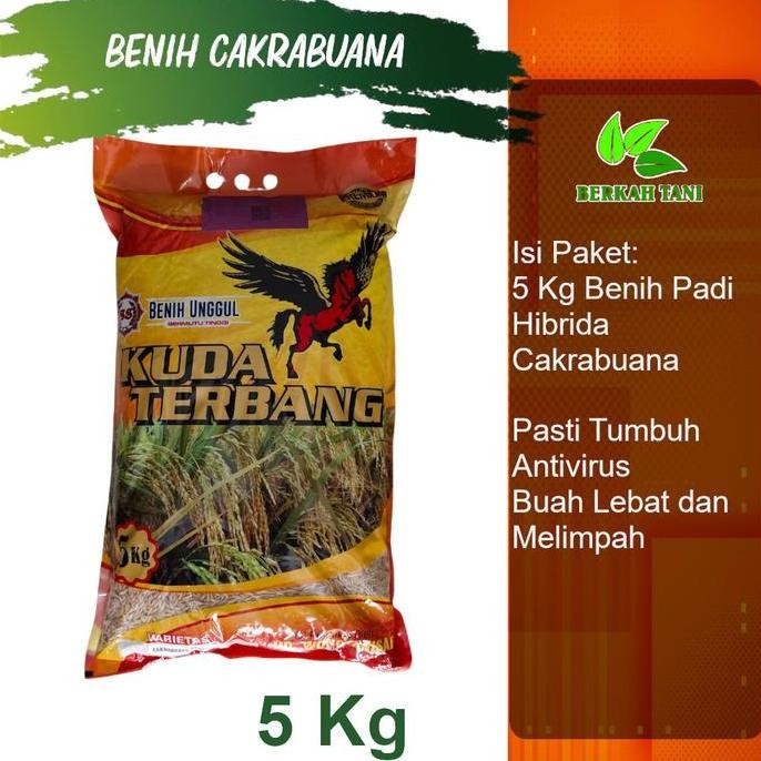 

Terlaris Benih Padi Cakrabuana 5 Kg Umur Genjah