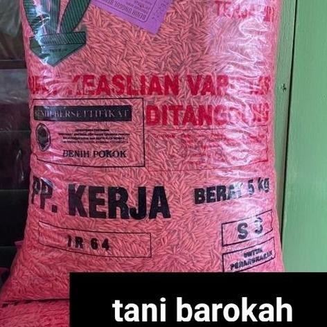

Terlaris Benih Padi Unggul Ir 64 5 Kg
