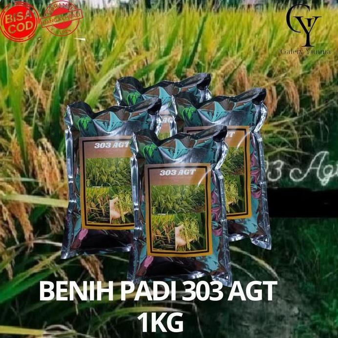 

Terlaris Benih Padi 303 Agt Kemasan 1 Kg