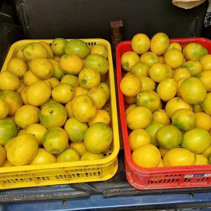 

```````] Lemon California Segar Kota Semarang Untuk Minuman Cafe Infuse Water