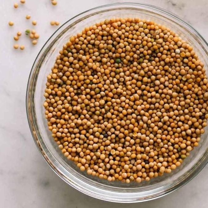 

hanya disini] Yellow Mustard Seeds 50gram / mustard seeds / biji sawi kuning