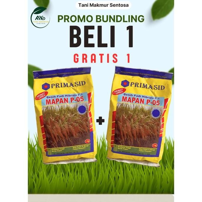 

Terlaris Mapan P-05 Benih Padi Unggulan Dari Primasid Original