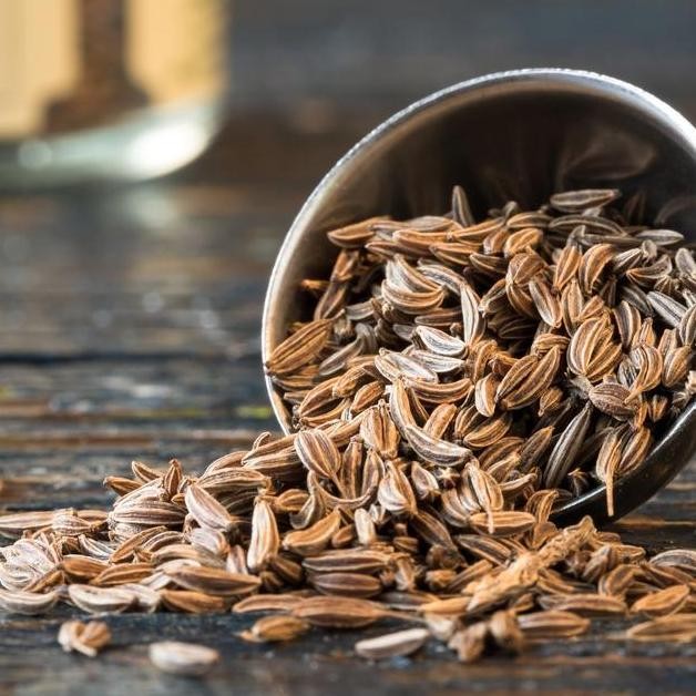 

<<<<<] Biji Jinten 250gram / Cumin Seeds / Jinten Biji / Caraway Seed