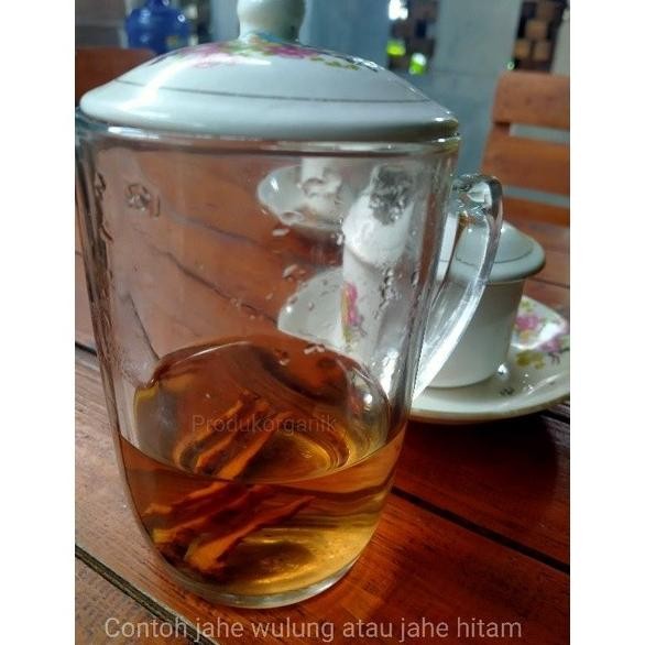 

Terlaris Bibit Jahe Wulung Jahe Hitam Gudkpe 9879Rn
