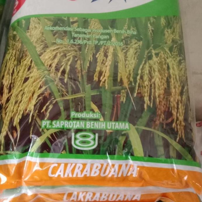 

Terlaris Benih Padi Cakrabuana Agritan Kemasan Reapack 1Kg