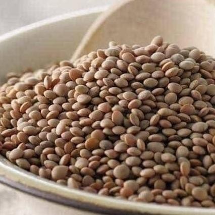 

#####] Brown Lentil 100gram / Lentil Cokelat / Lentil Coklat
