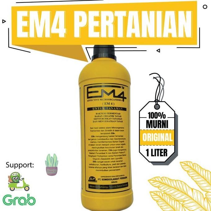 

Terlaris Em4 Pertanian Kuning Mikro Organisme Pupuk Organik Cair Tanaman Hias