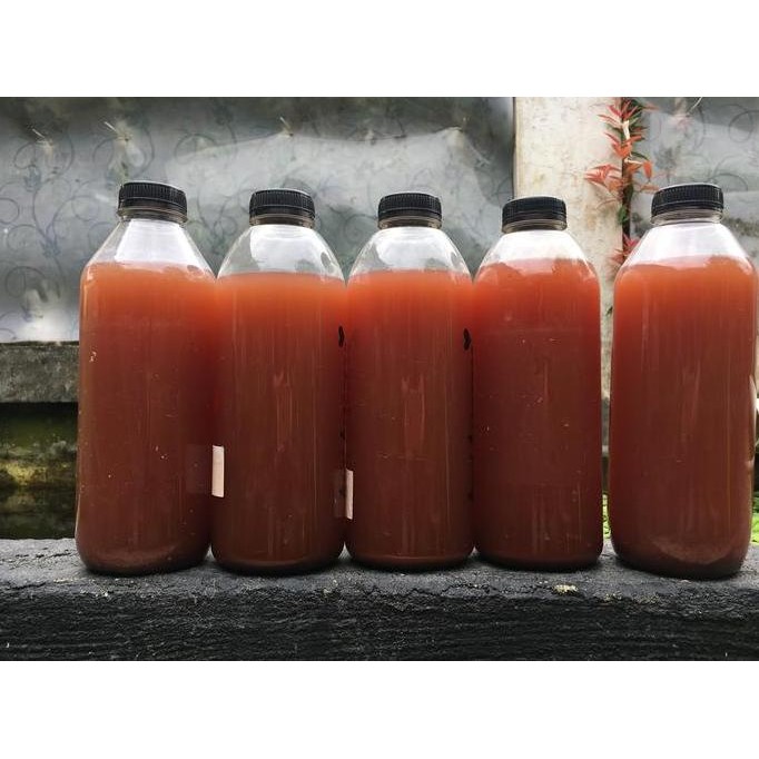 

Terlaris Pupuk Organik Cair | Booster | Bakteri Fotosintesis (Psb)